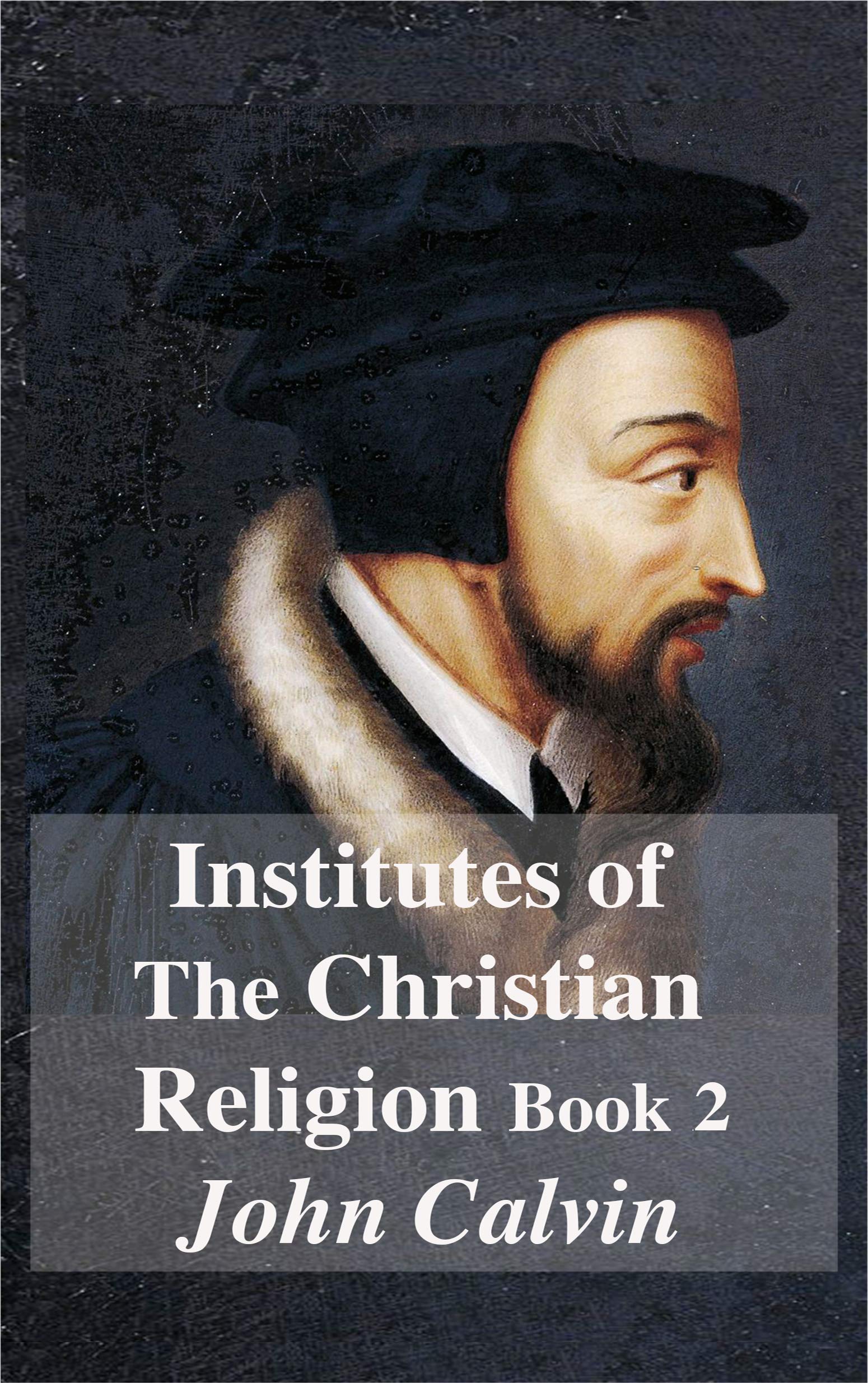 Institutes Of The Christian Religion Book 2 book cover