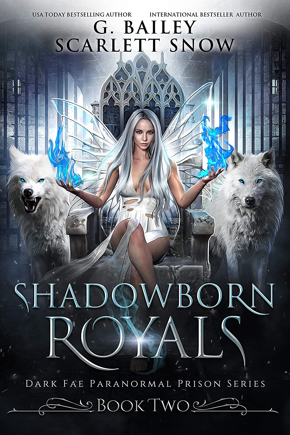 Dark Fae Paranormal Prison book cover 2