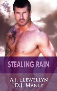 Stealing Rain book cover