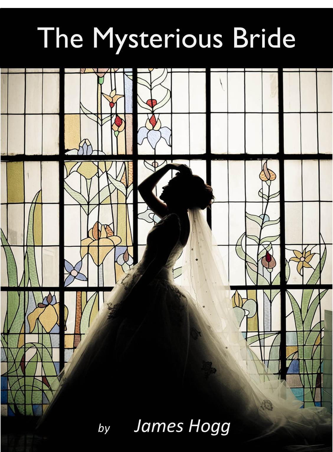 The Mysterious Bride book cover