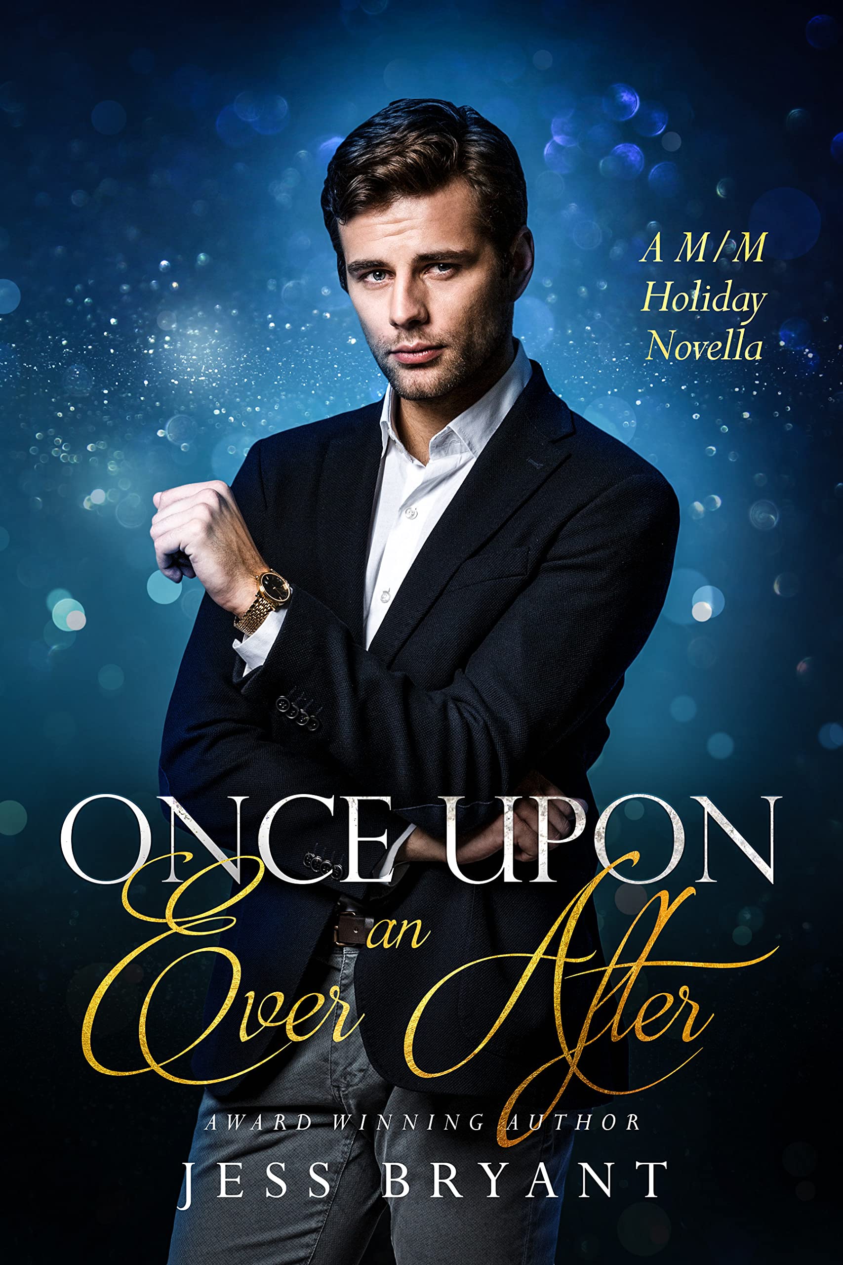 Once Upon an Ever After book cover