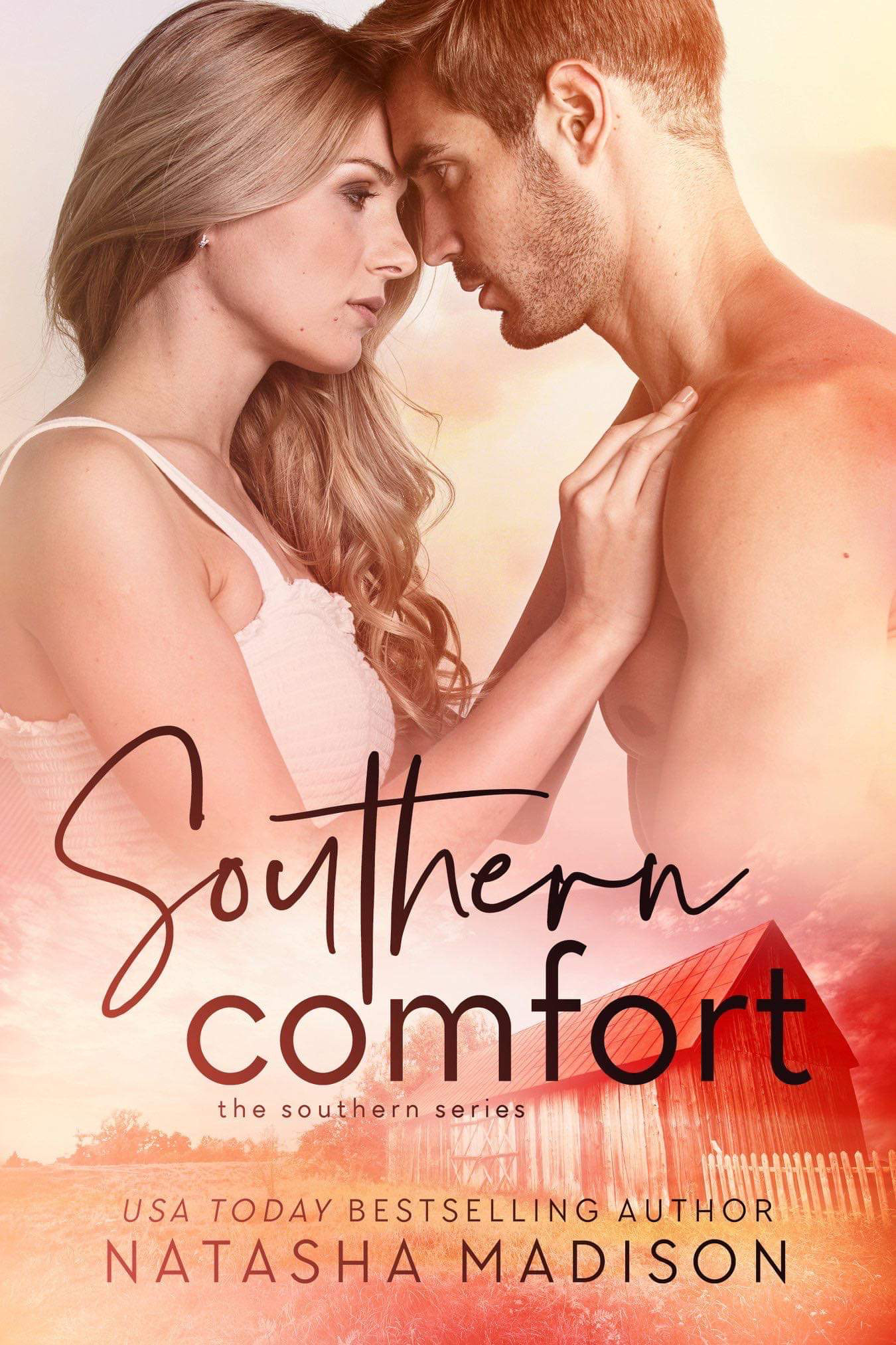 Southern book cover 2