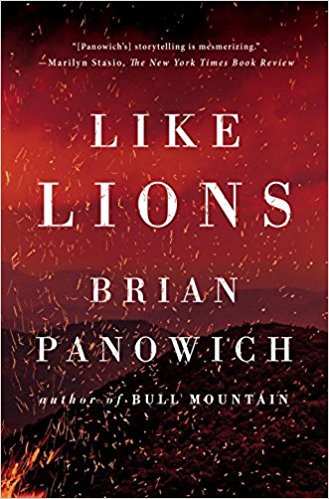 Bull Mountain book cover 2