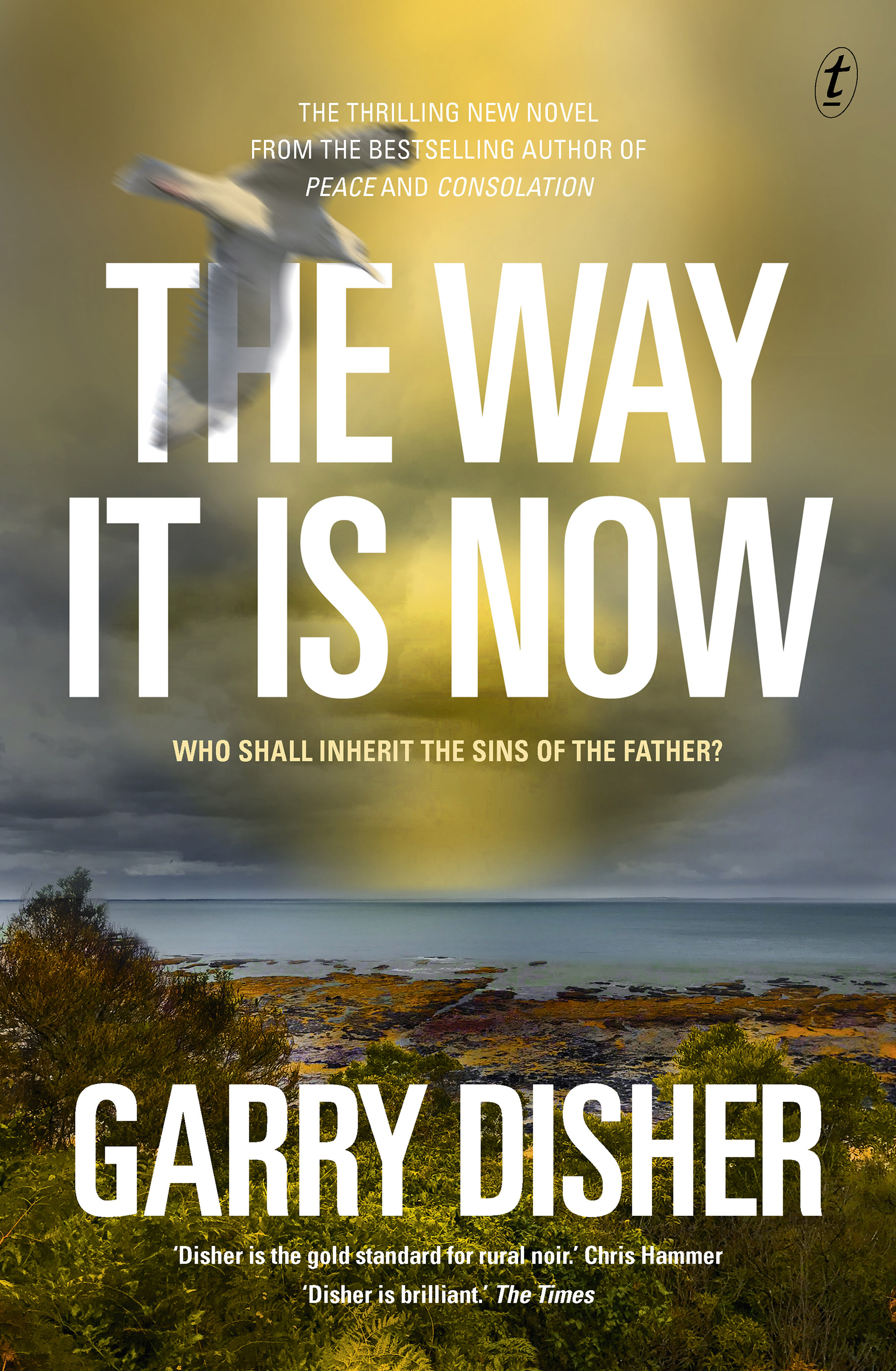 The Way It Is Now book cover