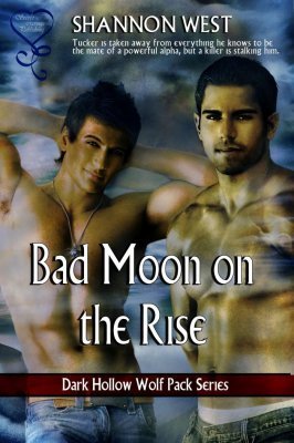Bad Moon on the Rise book cover