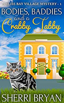 Bliss Bay Village Mystery book cover 1