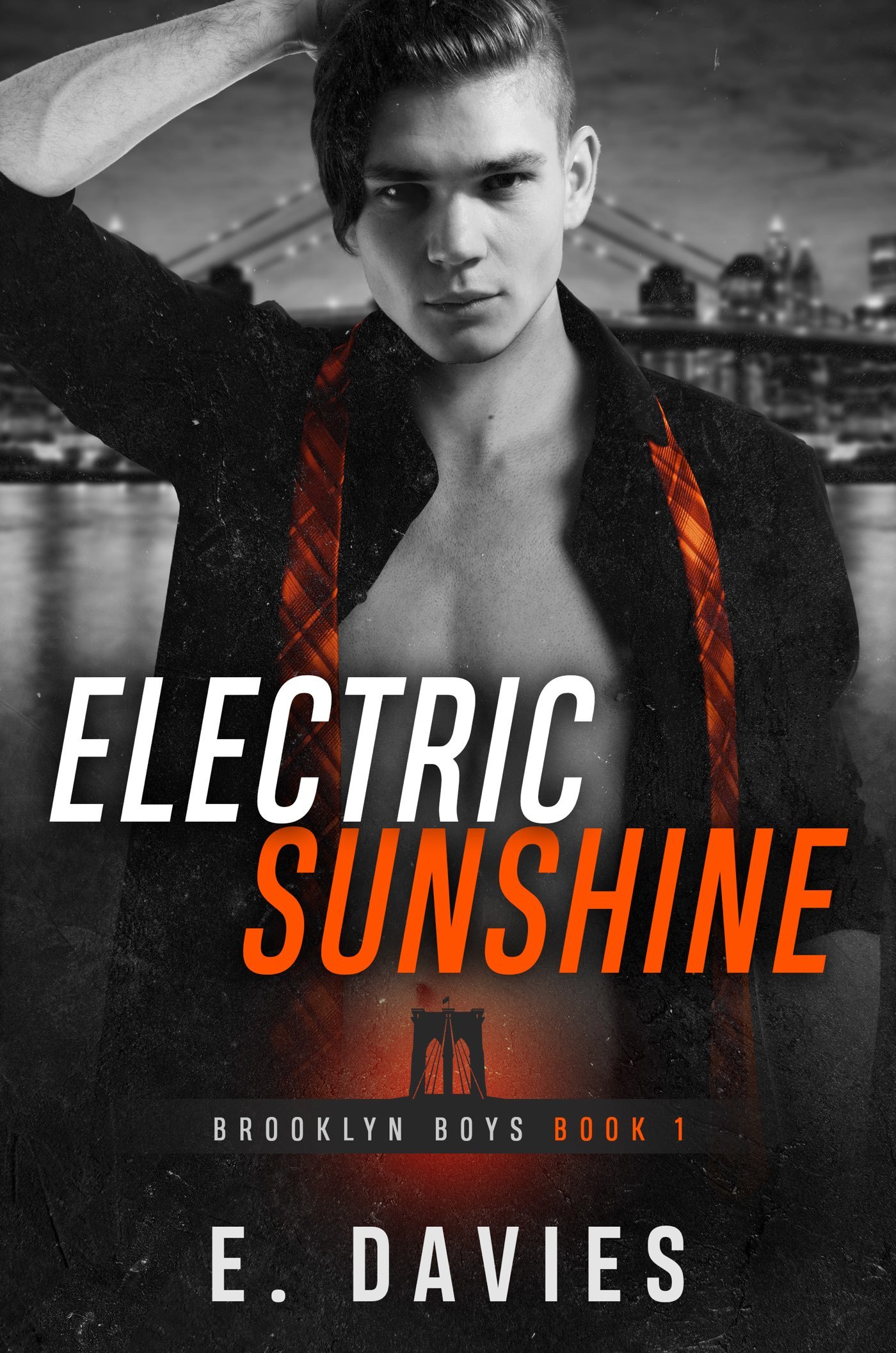 Brooklyn Boys book cover 1