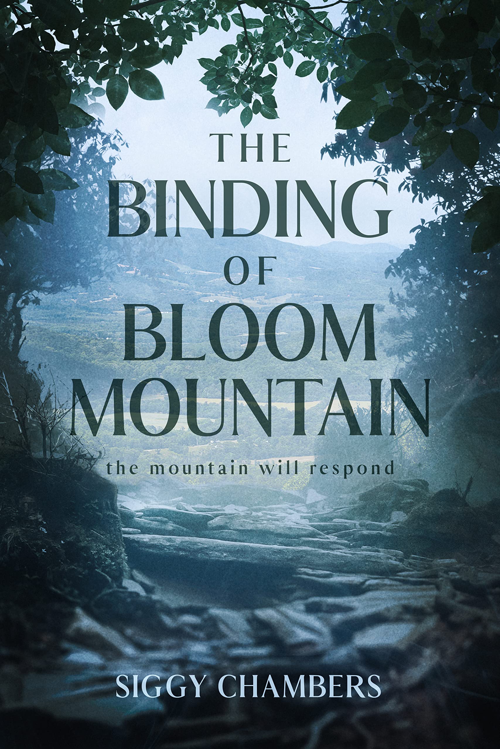 The Binding of Bloom Mountain book cover