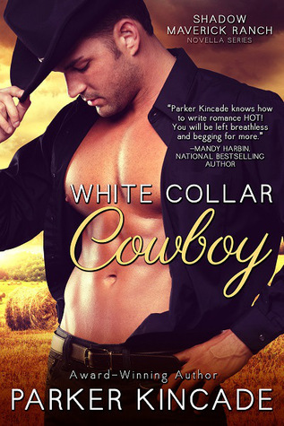 Shadow Maverick Ranch book cover 1