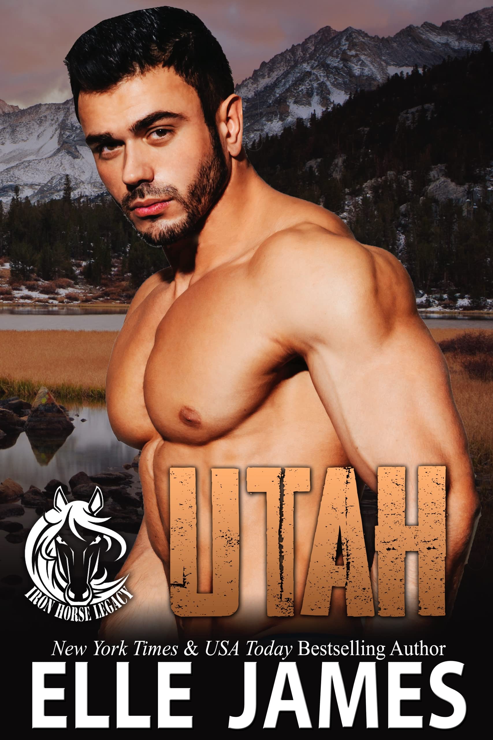 Utah book cover