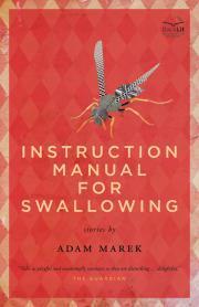 Instruction Manual for Swallowing book cover
