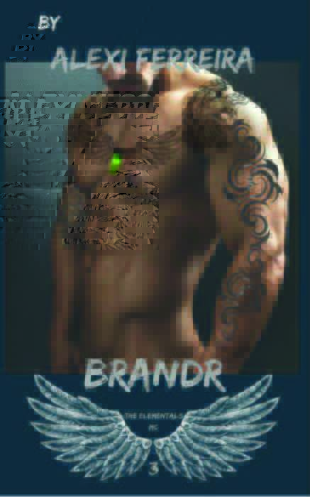 Elementals MC book cover 3