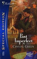 Past Imperfect book cover