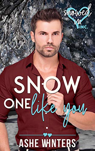 Snow One Like You book cover