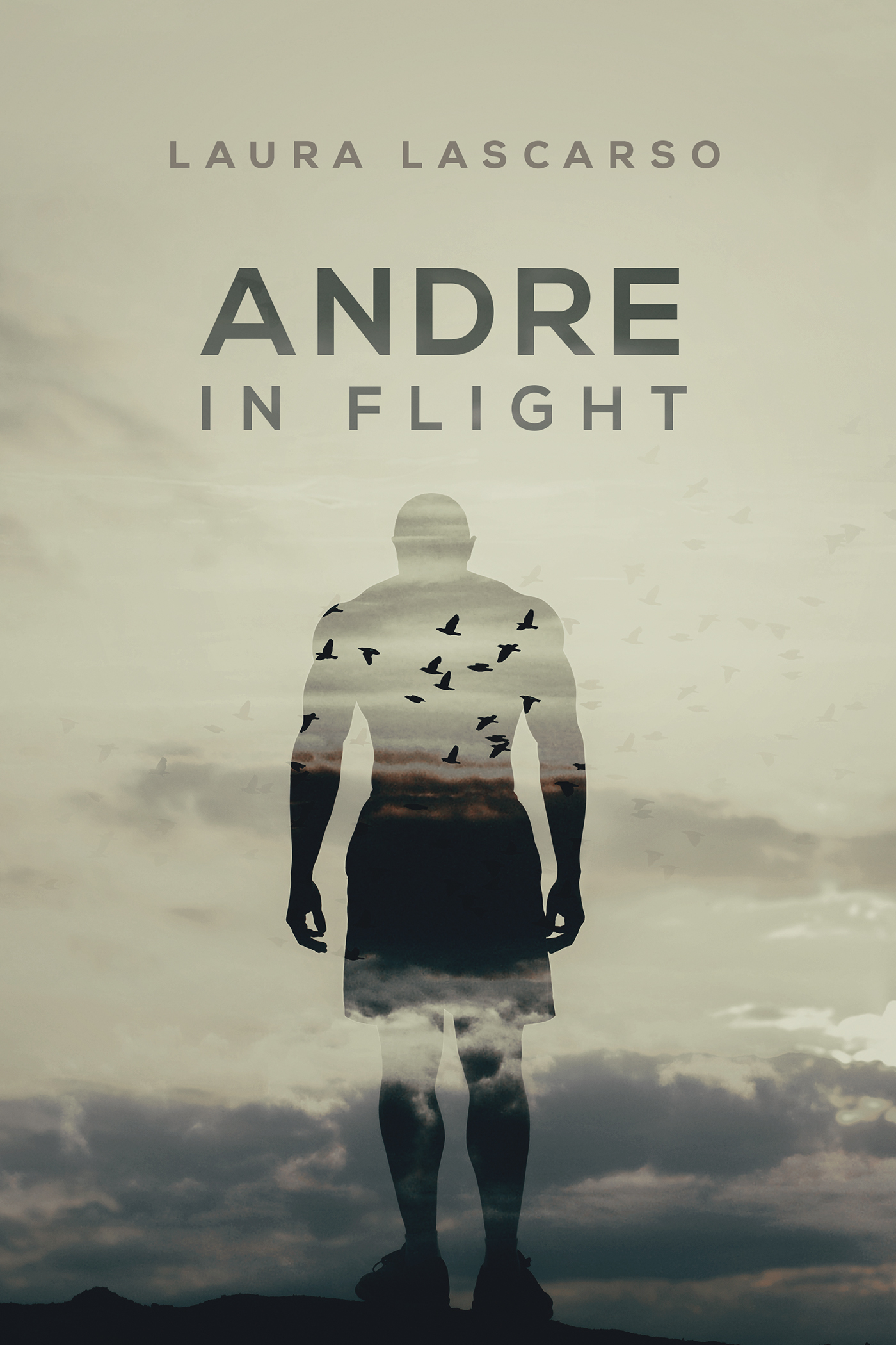 Andre in Flight book cover