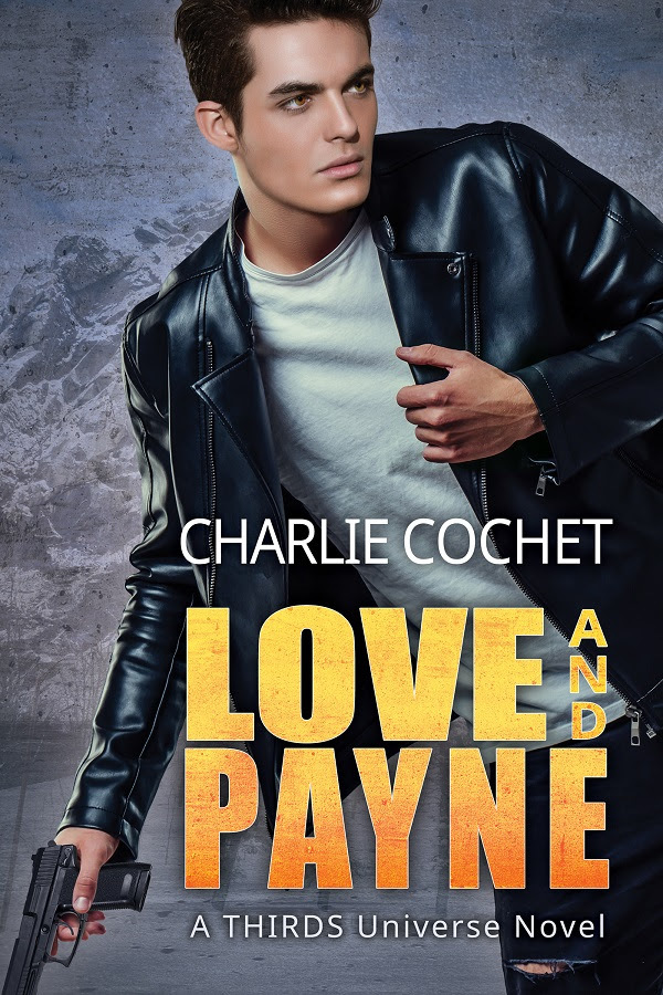 Love and Payne book cover