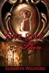 The Five Step Plan book cover