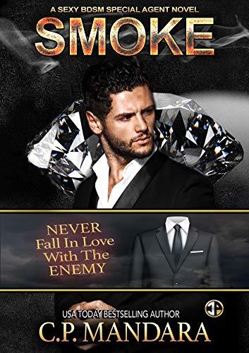 Special Agent BDSM book cover 2
