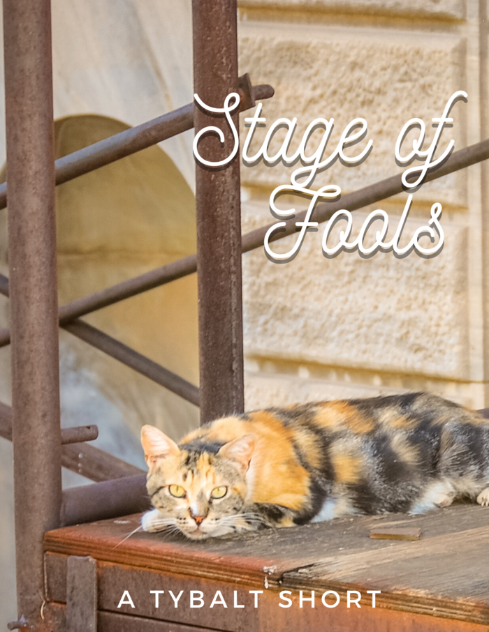 Stage of Fools book cover