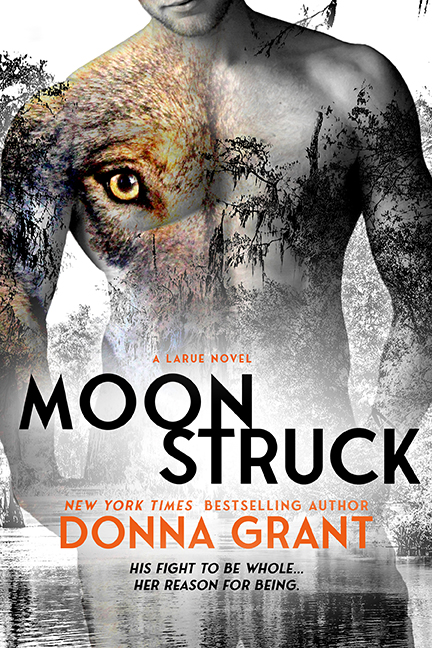 LaRue book cover 3