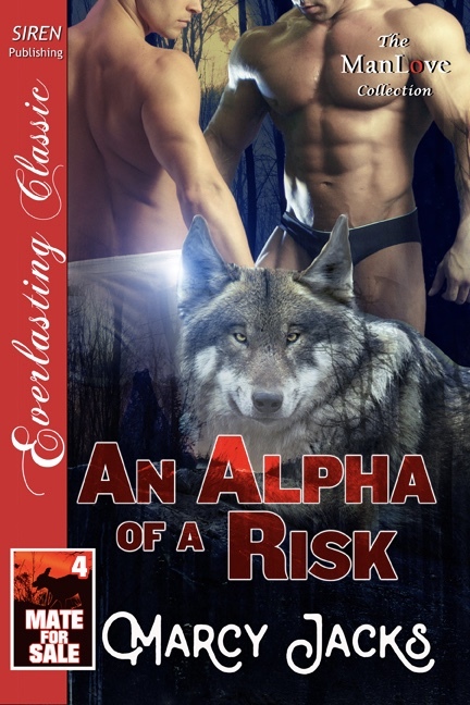 An Alpha of a Risk book cover