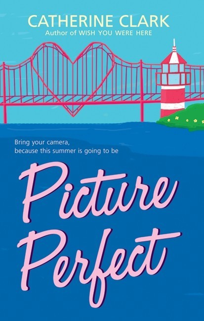 Picture Perfect book cover