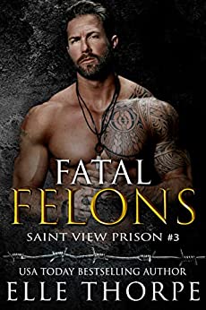 Saint View Prison book cover 3
