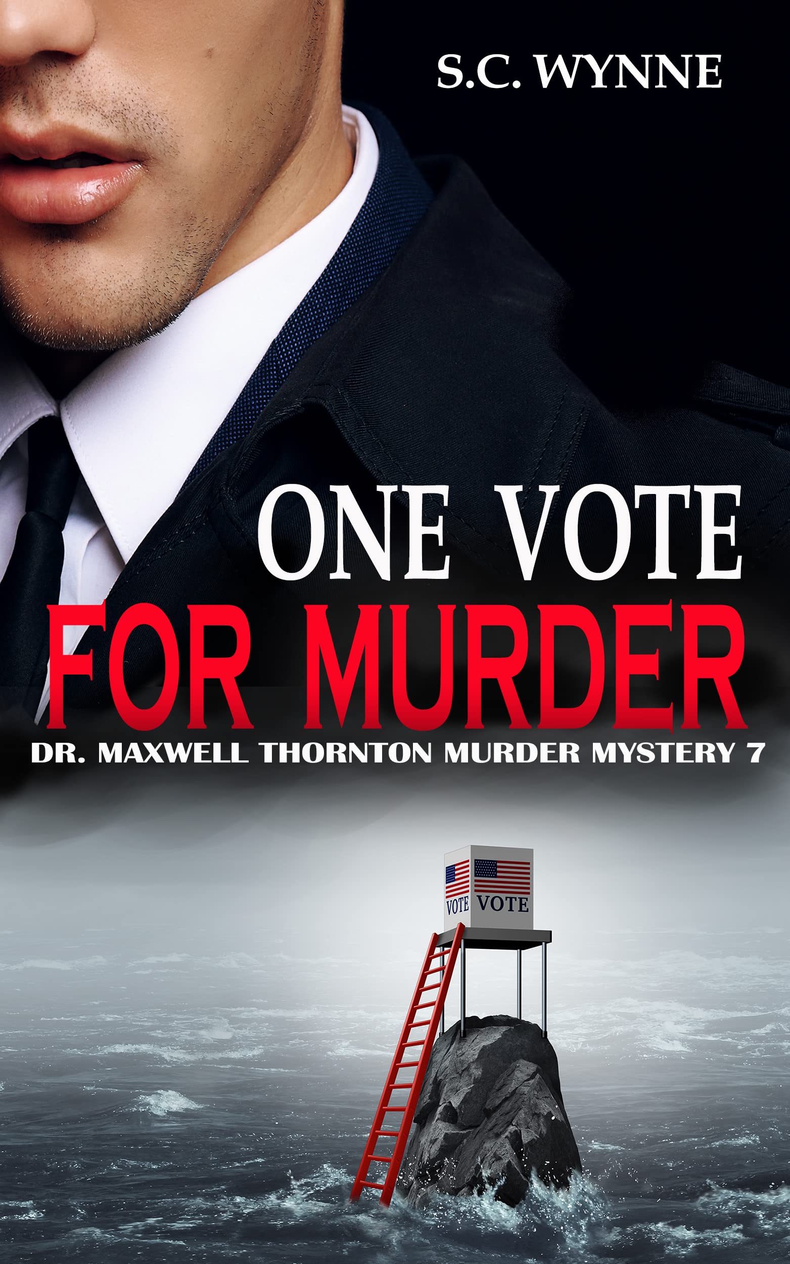 One Vote for Murder book cover