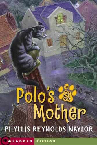 Polo's Mother book cover