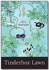 Tinderbox Lawn book cover