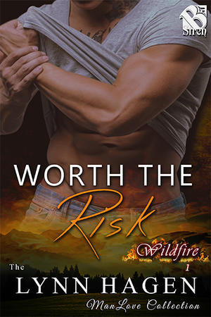 Wildfire book cover 1