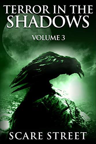 Terror in the Shadows book cover