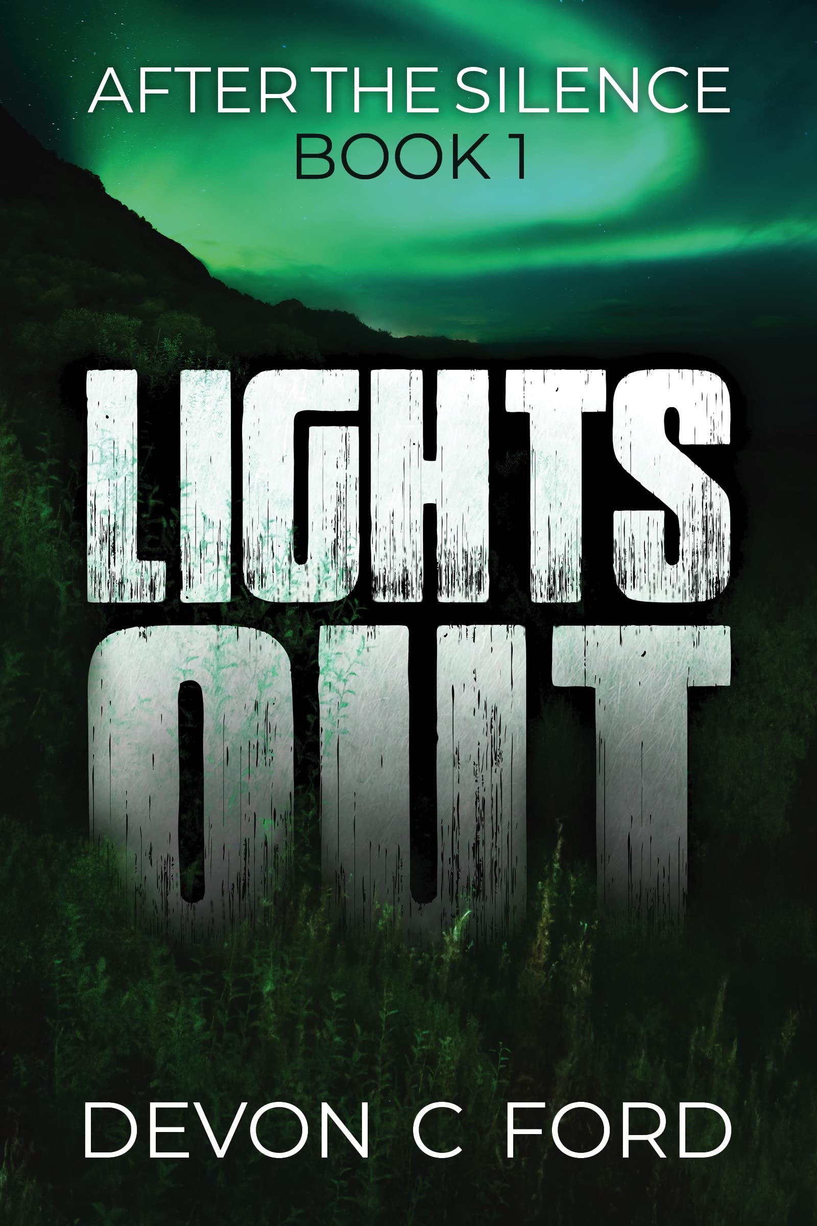 Lights Out book cover 1