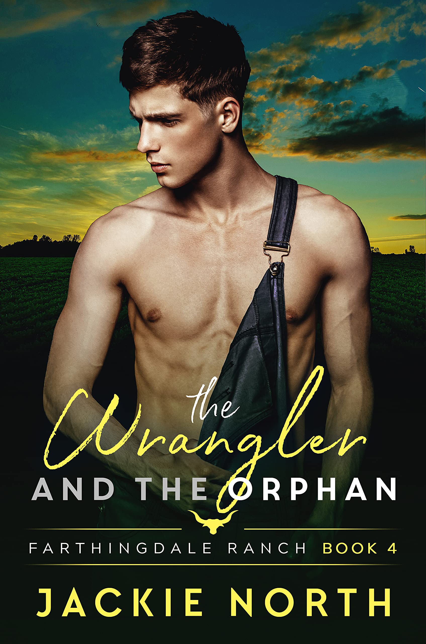 The Wrangler and the Orphan book cover