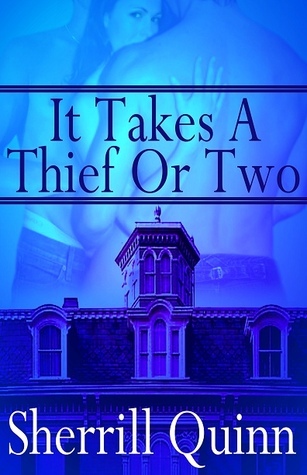 It Takes a Thief or Two book cover