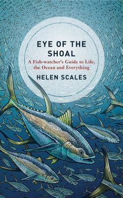 Eye of the Shoal book cover