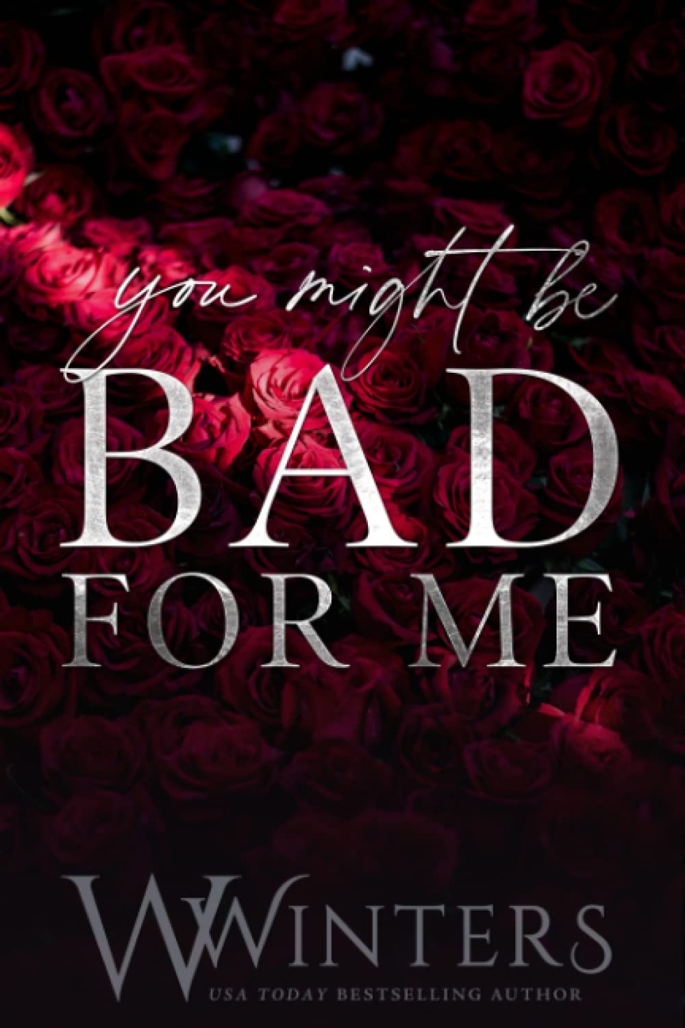 You Might Be Bad For Me book cover
