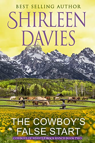 Cowboys of Whistle Rock Ranch book cover 2