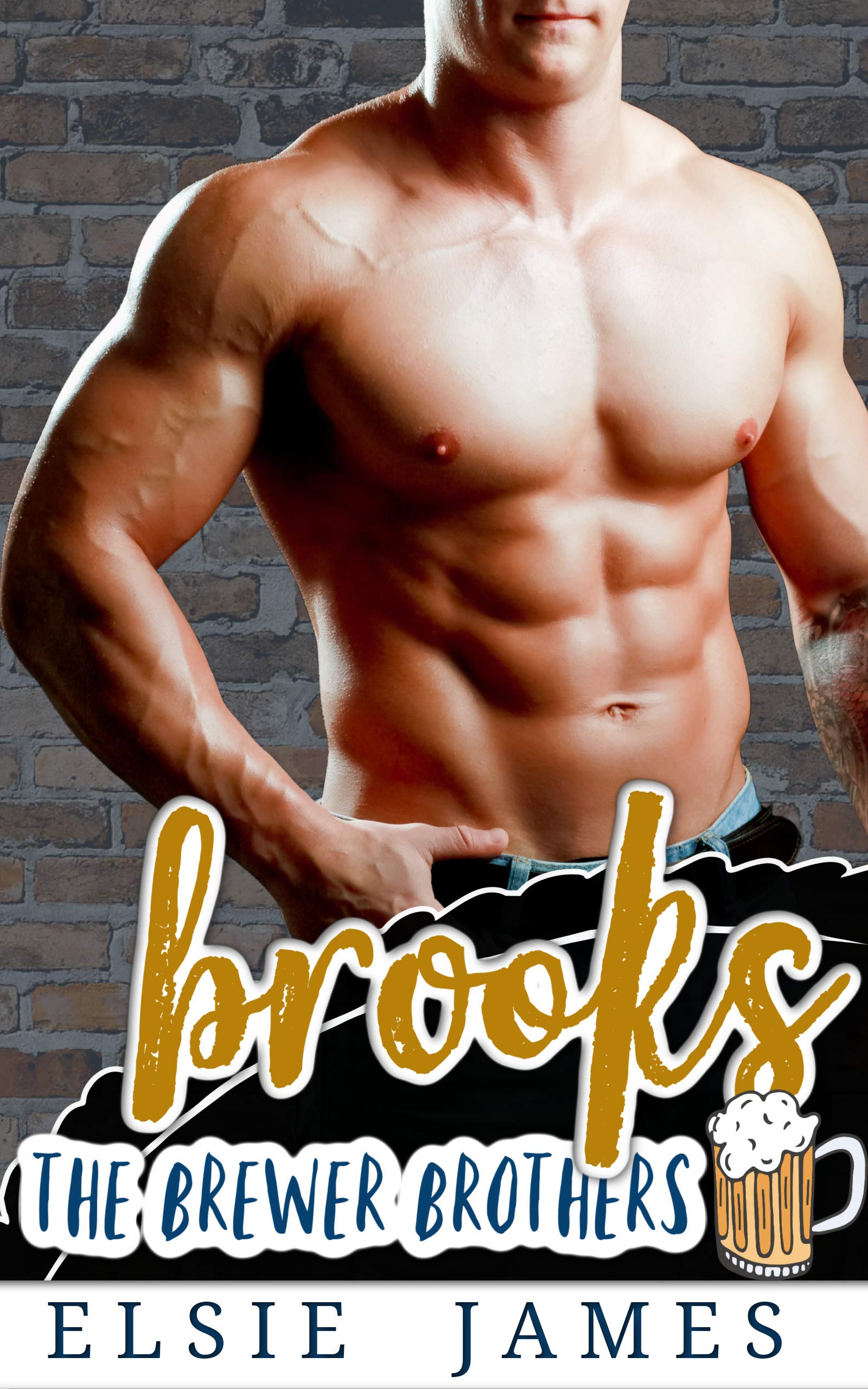 The Brewer Brothers book cover 3