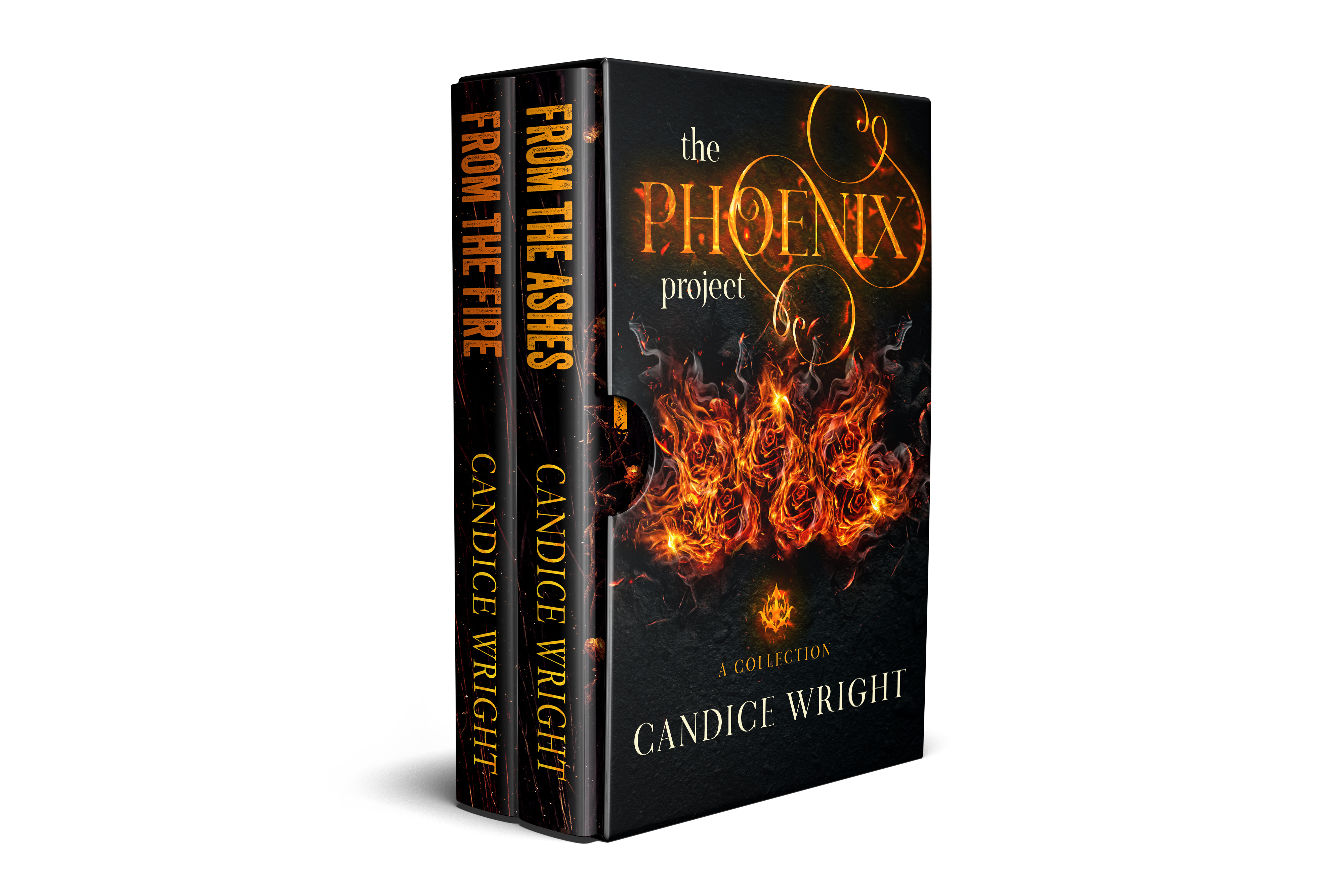 The Phoenix Project Collection book cover