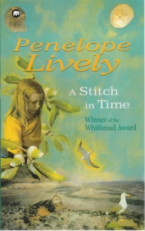 A Stitch in Time book cover