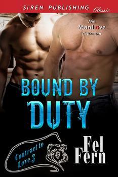 Contract to Love book cover 3