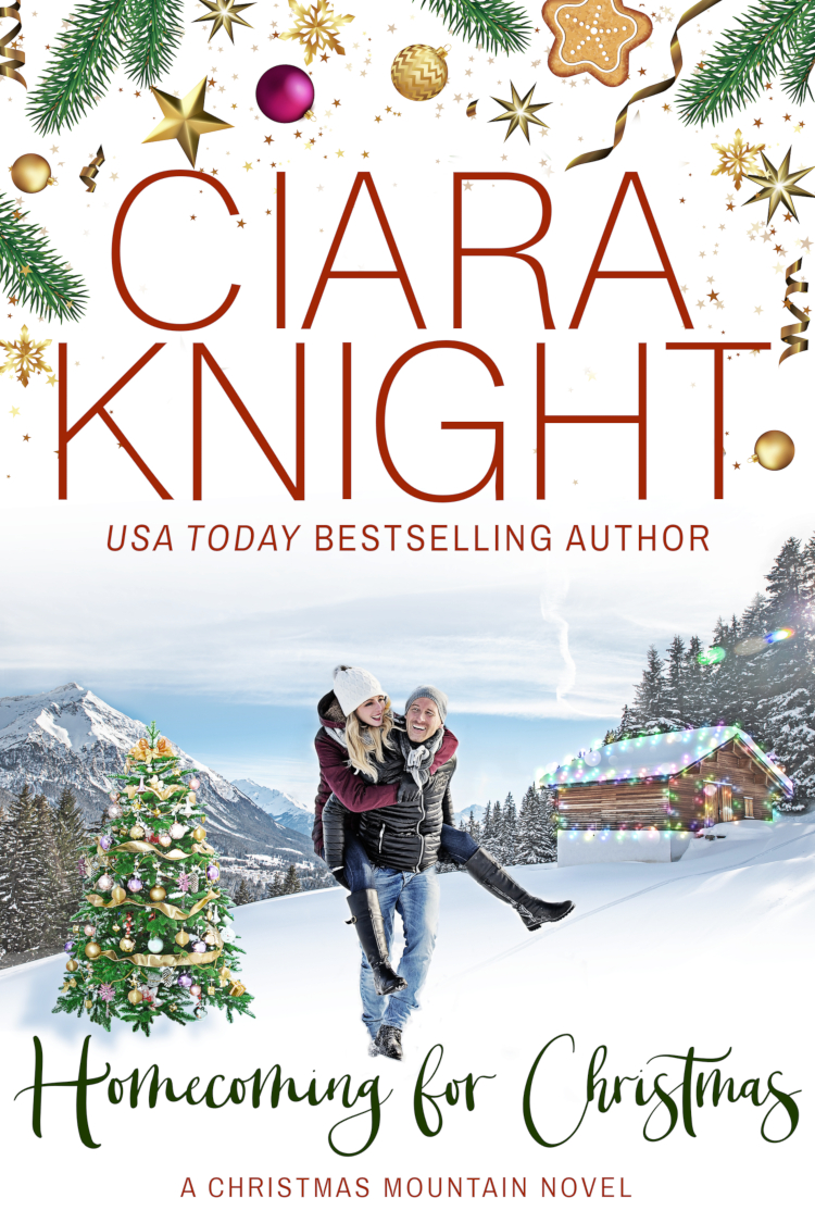 Christmas Mountain book cover 1