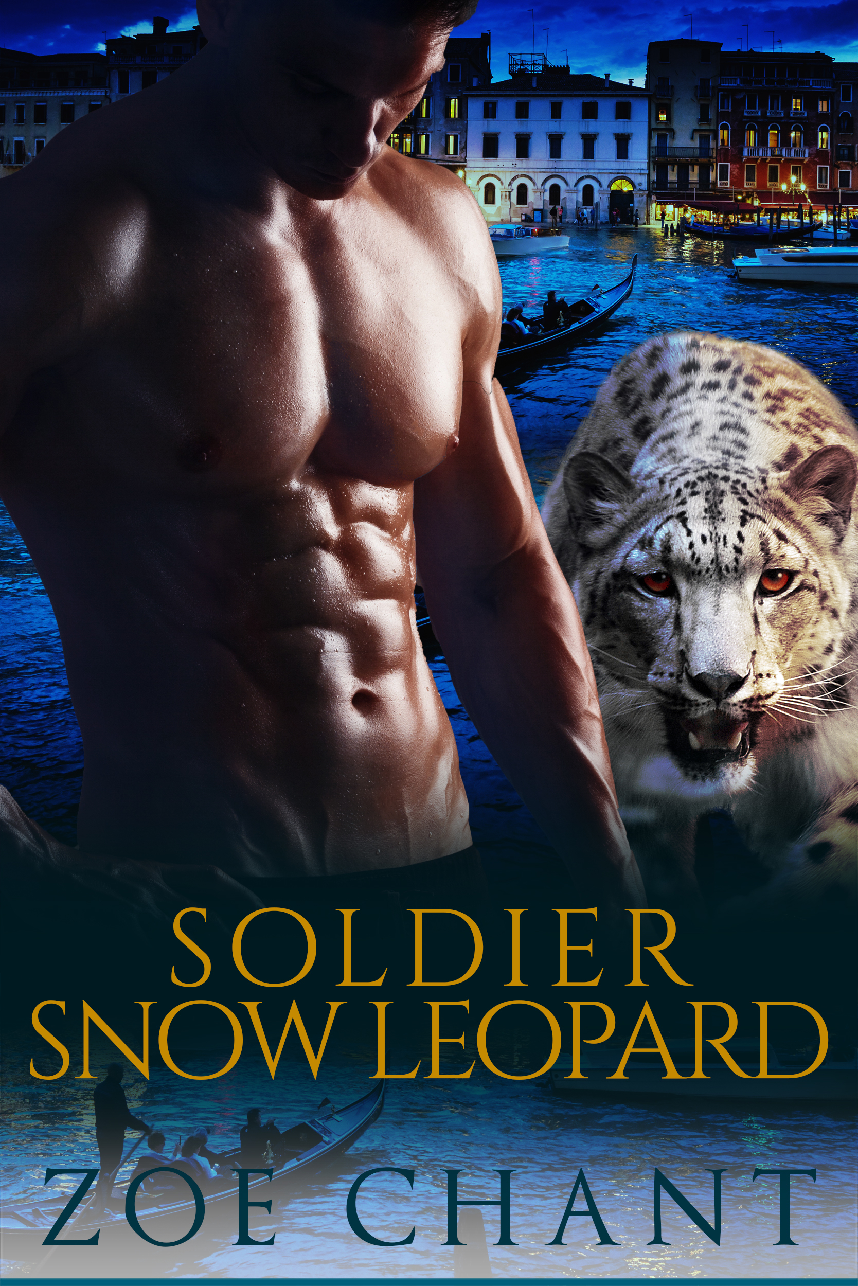 Soldier Snow Leopard book cover