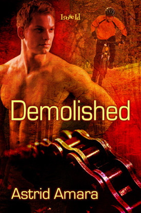 Demolished book cover