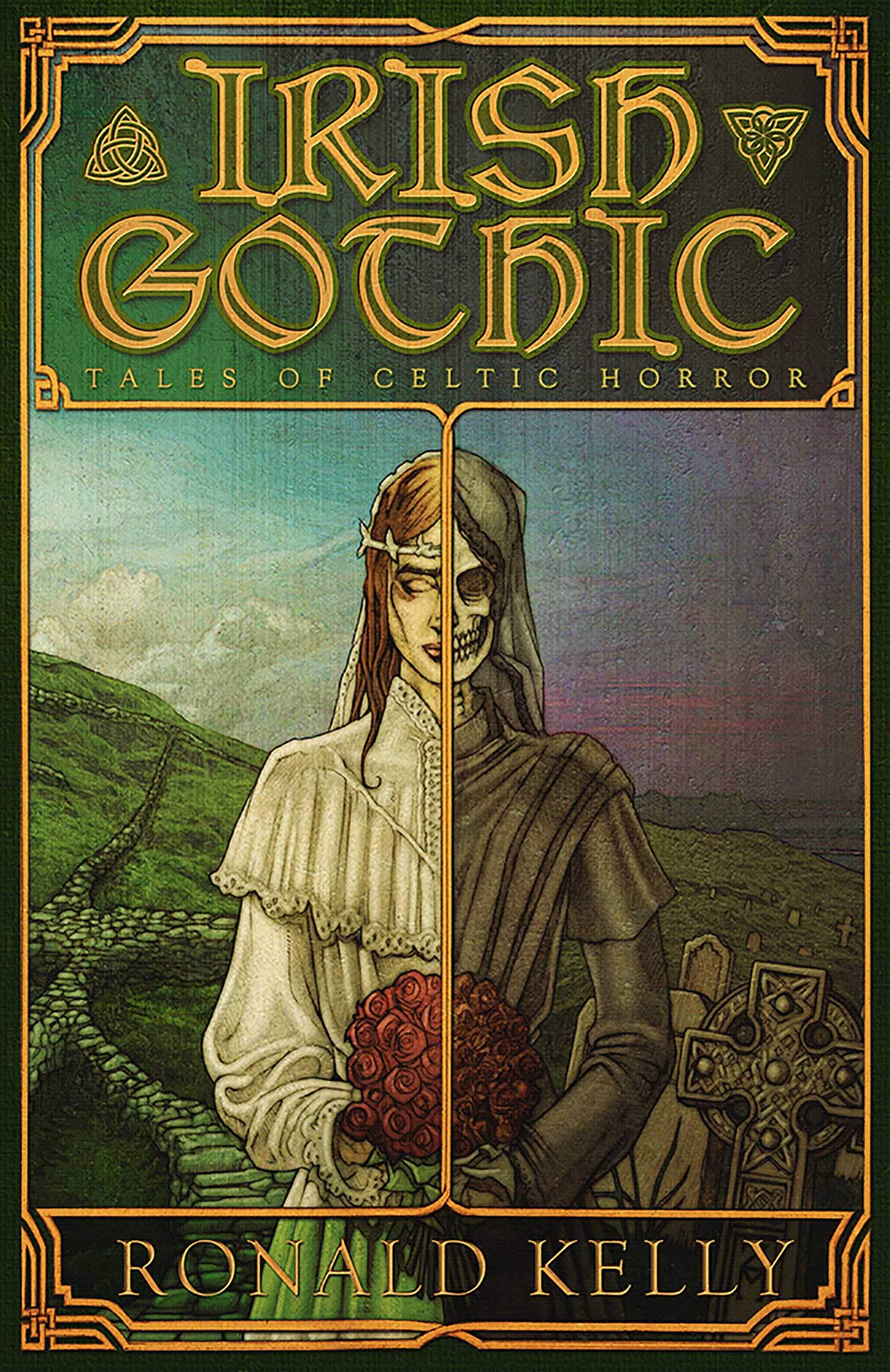 Irish Gothic book cover