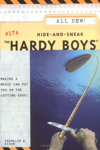 Hide-and-Sneak book cover