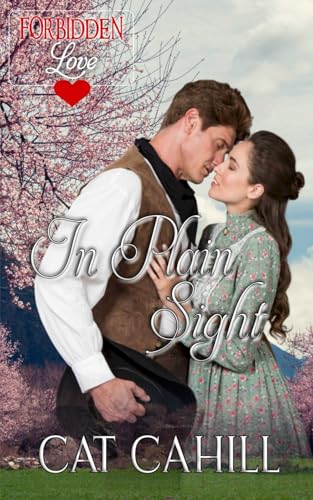 In Plain Sight book cover