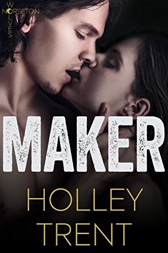 Maker book cover