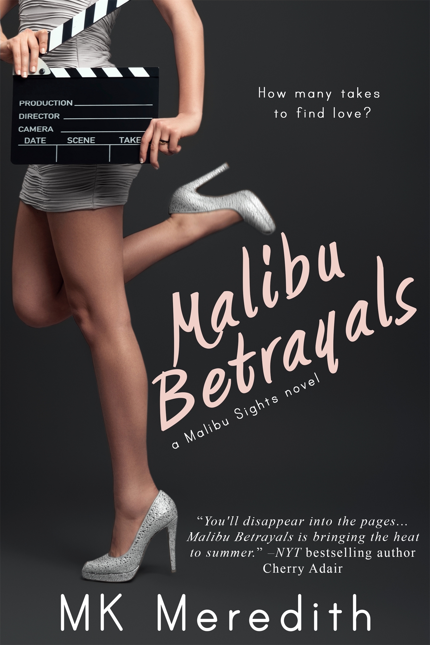 Malibu Sights book cover 1